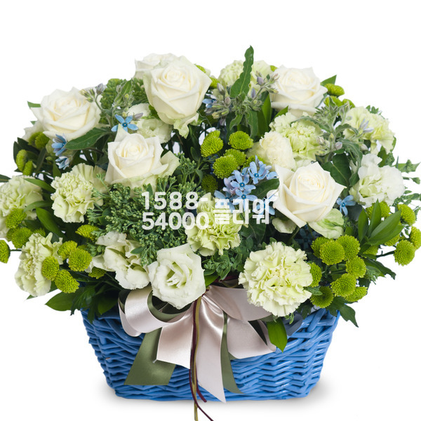 화이트/블루