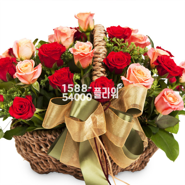 부드러운 미소