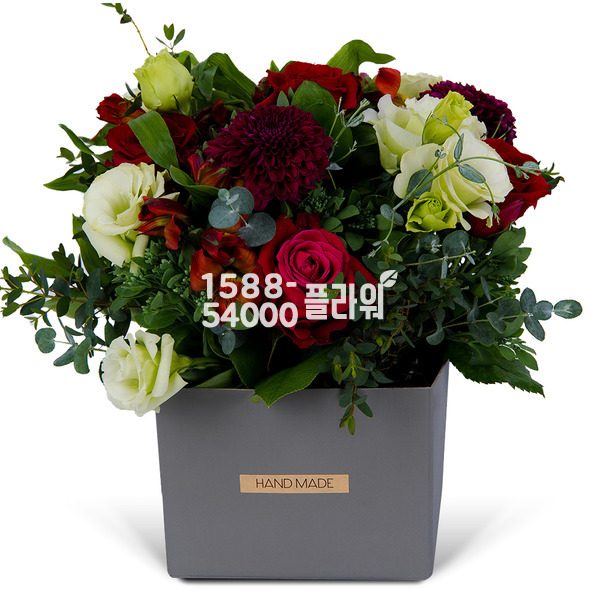 정열의♥카르멘
