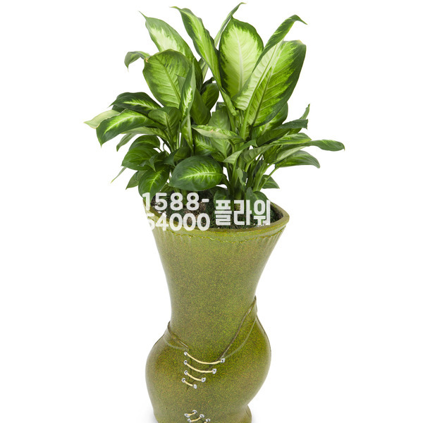마리안느 디펜바키아 마블분