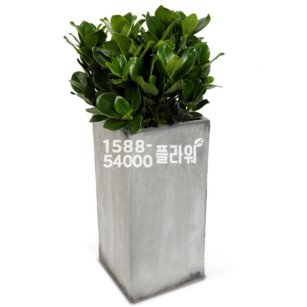 크루시아(사각)-실내장식