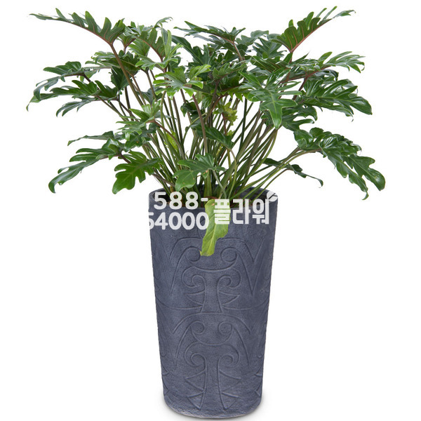 셀렘 마블♠공기정화추천