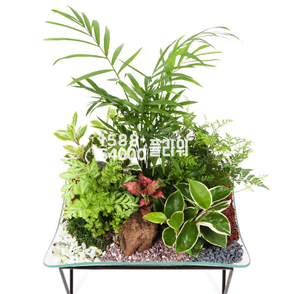 화분접시1