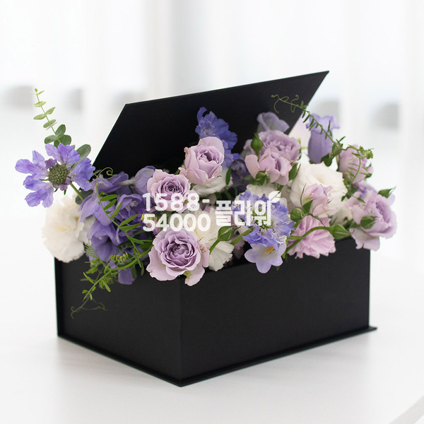퍼플하모니 가든