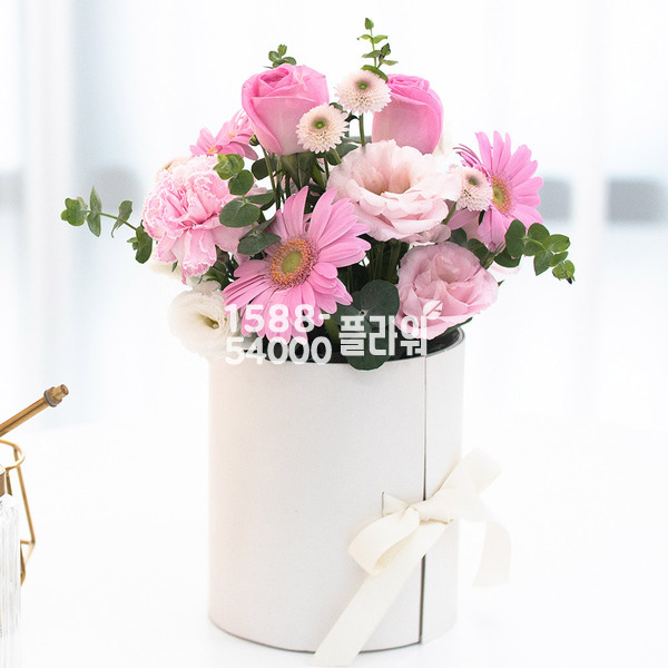 핑크앙상블