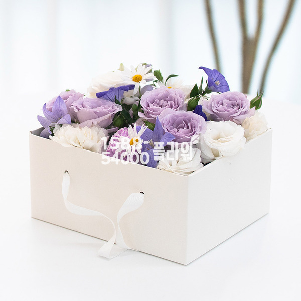 퍼플드림 꽃상자