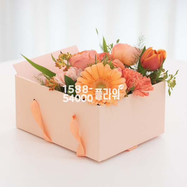 오렌지가든 용돈꽃상자