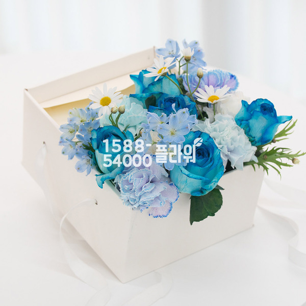 블루로즈가든 용돈꽃상자(예약상품)