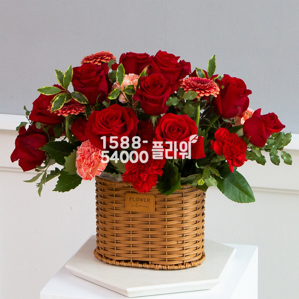 설렘설렘로맨스