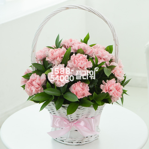 카네이션♥감사와은혜