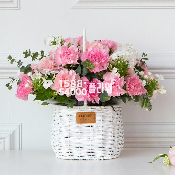 핑크빛썸카네이션
