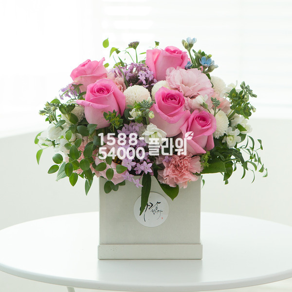 큐티♥블러썸