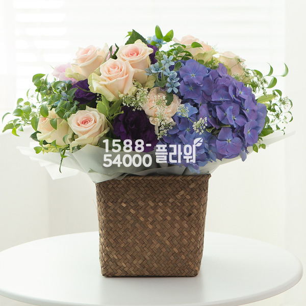 별빛사랑