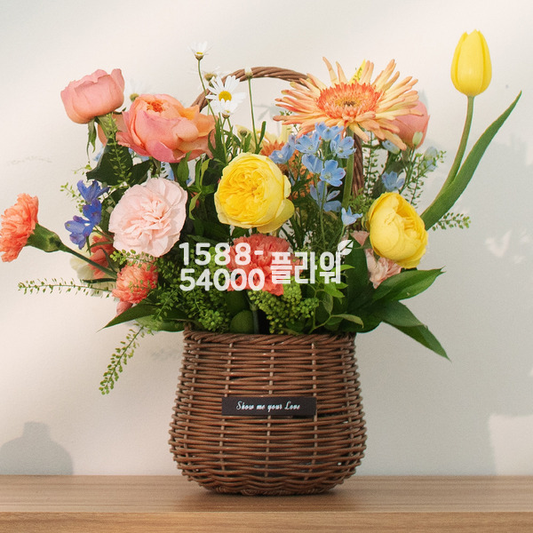 아모르 바스켓