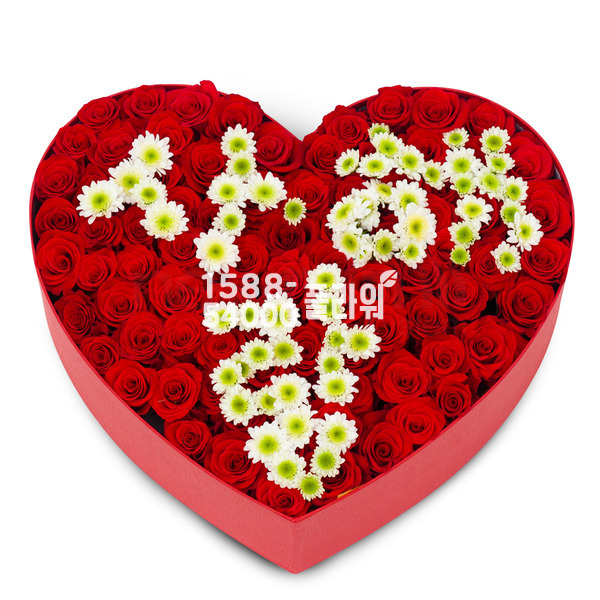 하트사랑 - 100송이