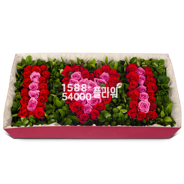 아이러브
