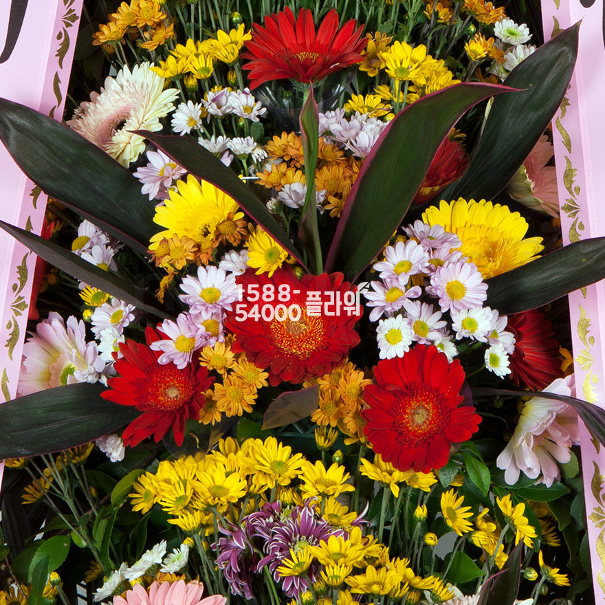 상세이미지