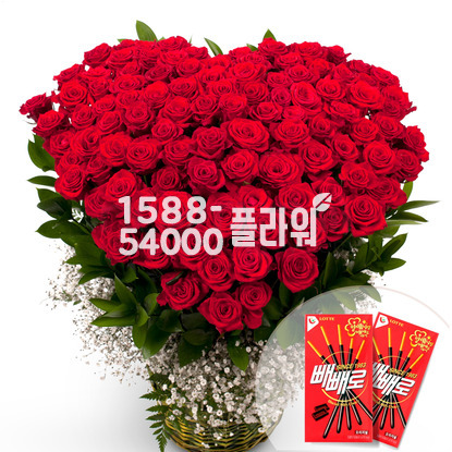 올인 100송이 빼빼로