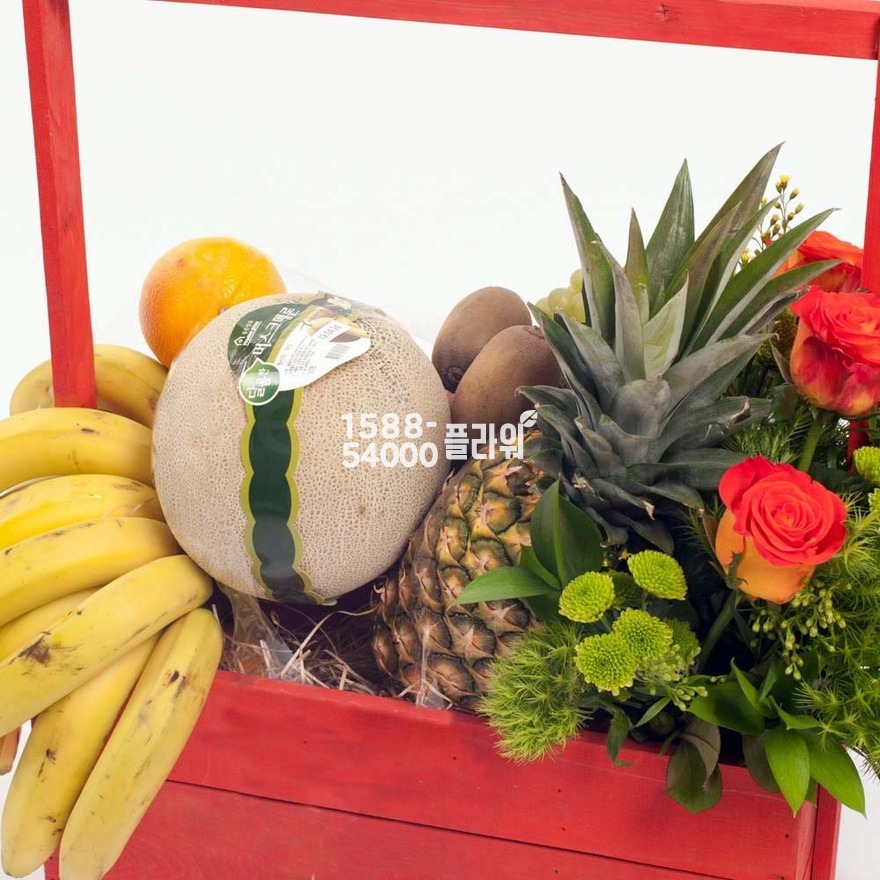 상세이미지