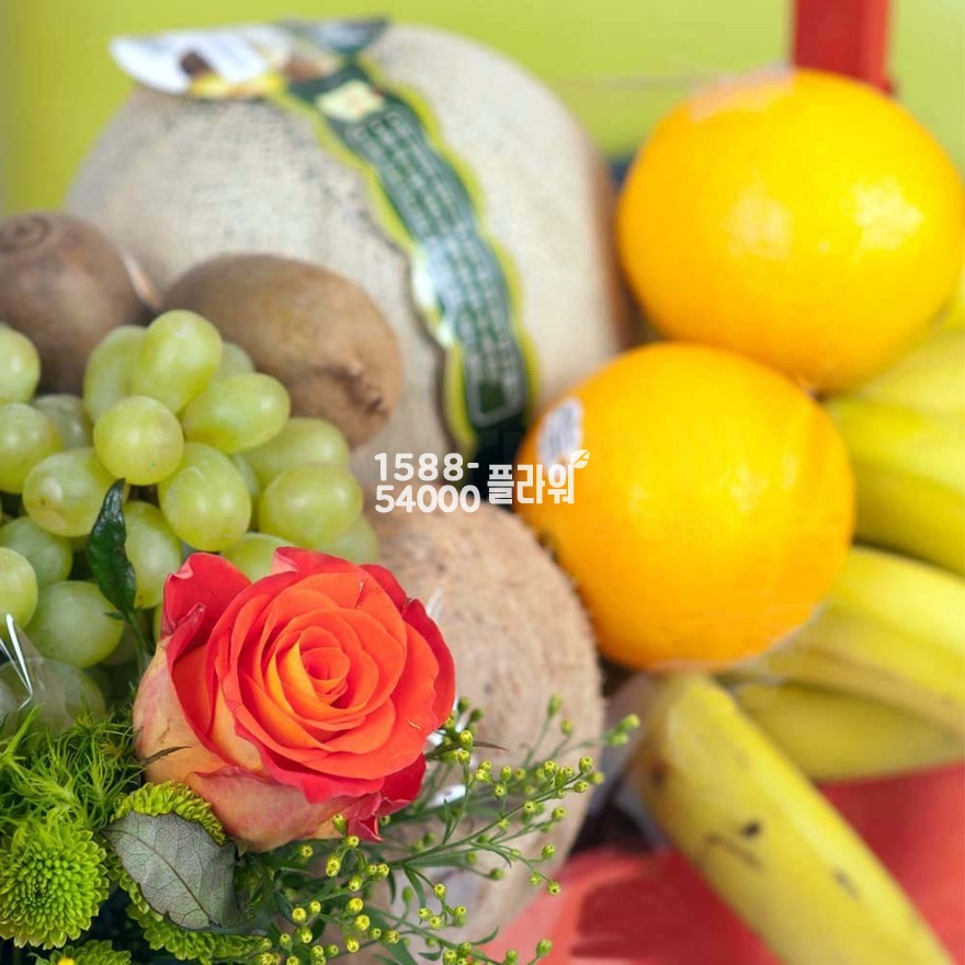 상세이미지
