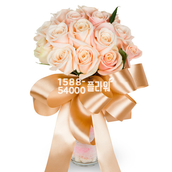 나비처럼