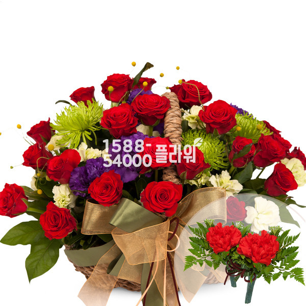 고맙습니다(코사지2개무료)