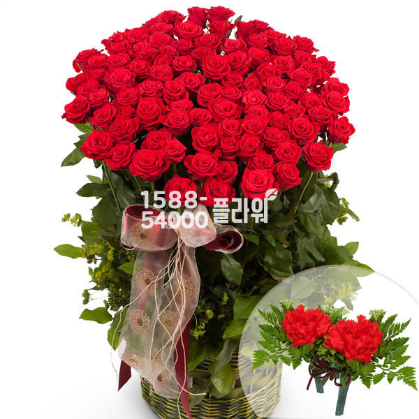 비탈바구니1(코사지2개무료)