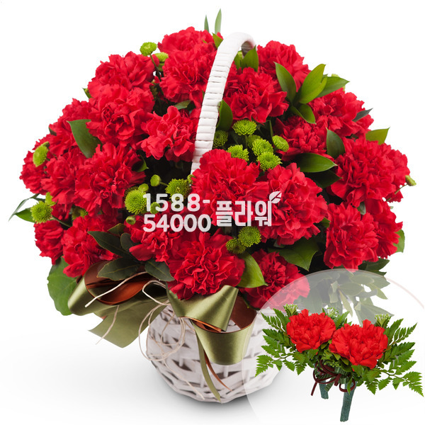 한없는은혜(코사지2개무료)