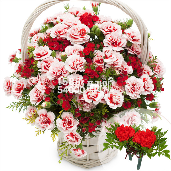 사랑의모습(코사지2개무료)