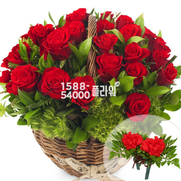 꽃바구니(꽃행복317호(코사지2개무료))
