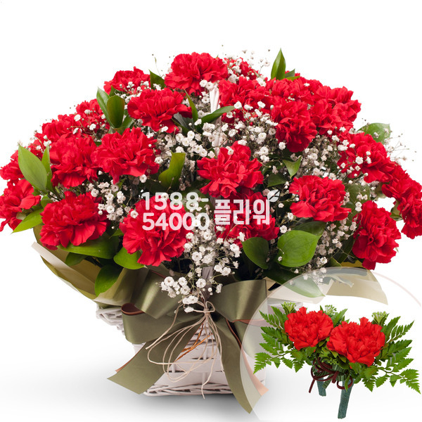 스승의은혜감사 2호(코사지2개무료)