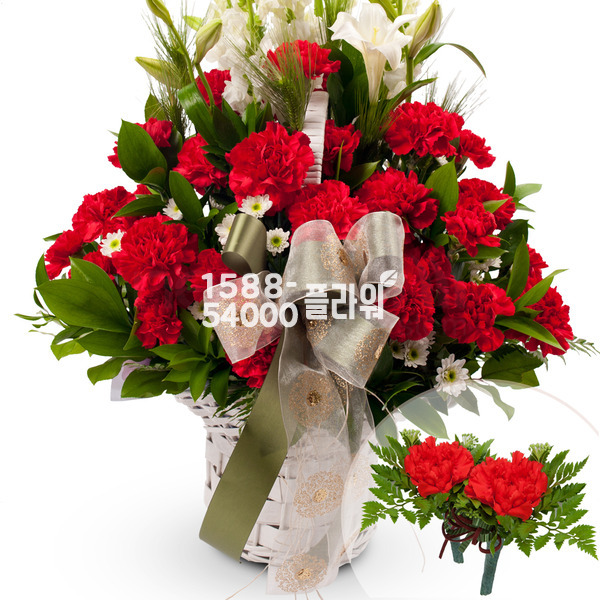 은혜(코사지2개무료)