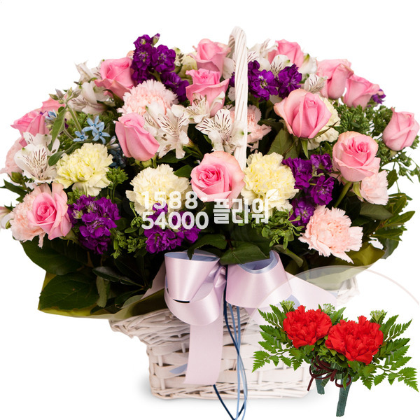 매일 보고 싶다(코사지2개무료)