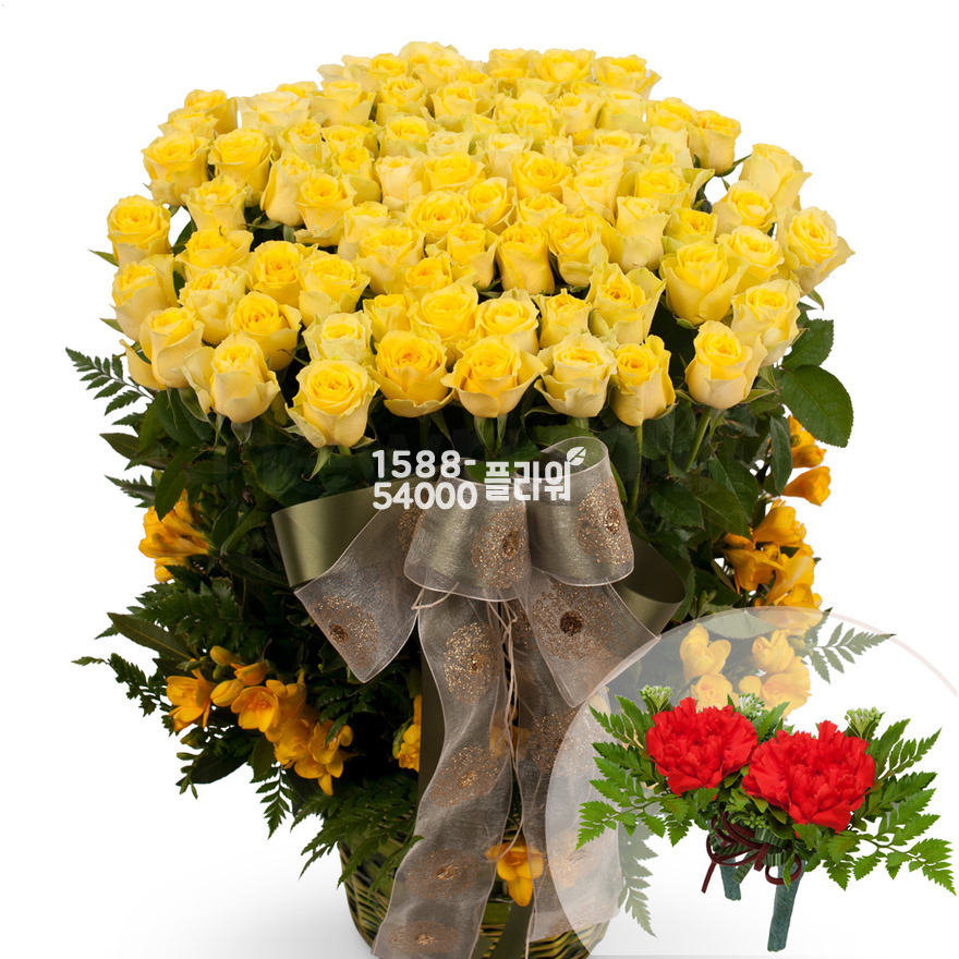 상세이미지