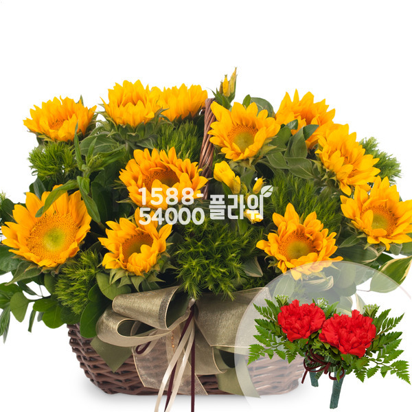 해바라기바구니(코사지2개무료)