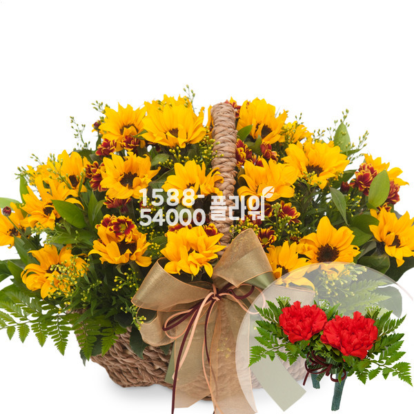 해바라기바구니3(코사지2개무료)