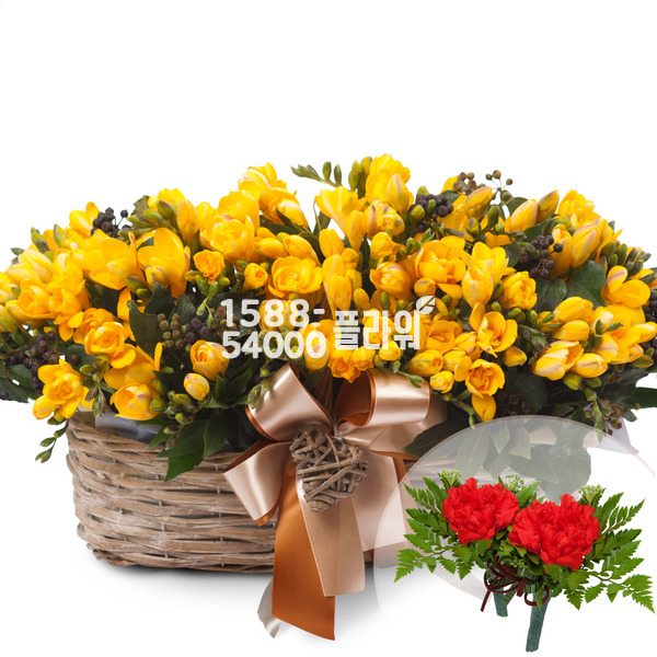 (봄)프리지아노랑색바구니(코사지2개무료)