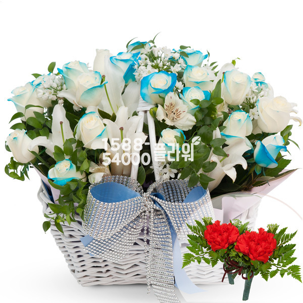 파란장미혼합바구니(코사지2개무료)