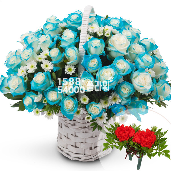 파랑장미바구니100송이(코사지포함)