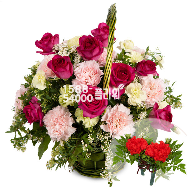 빨강장미카네이션(코사지2개포함)