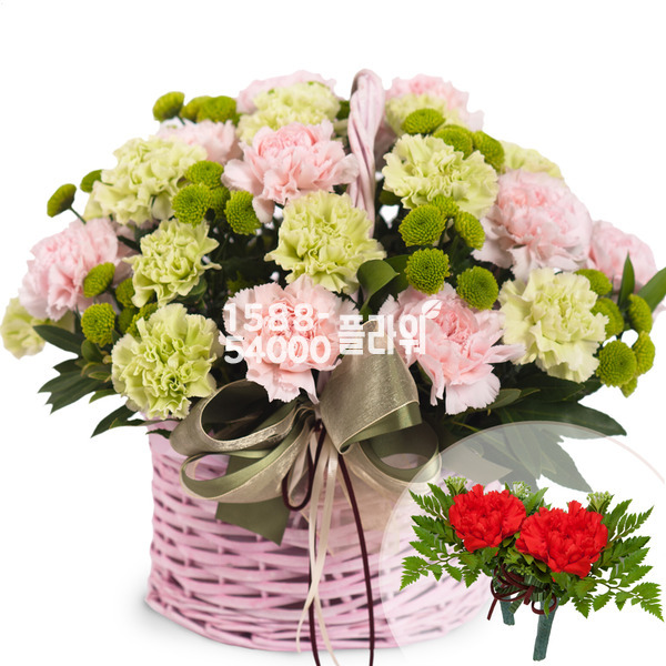 건강하세요!!(코사지2개무료)