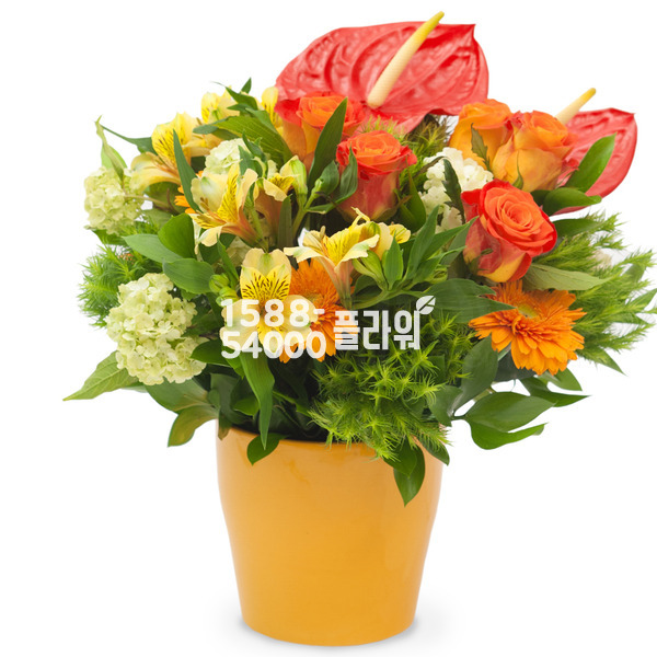 화병디자인_오렌지
