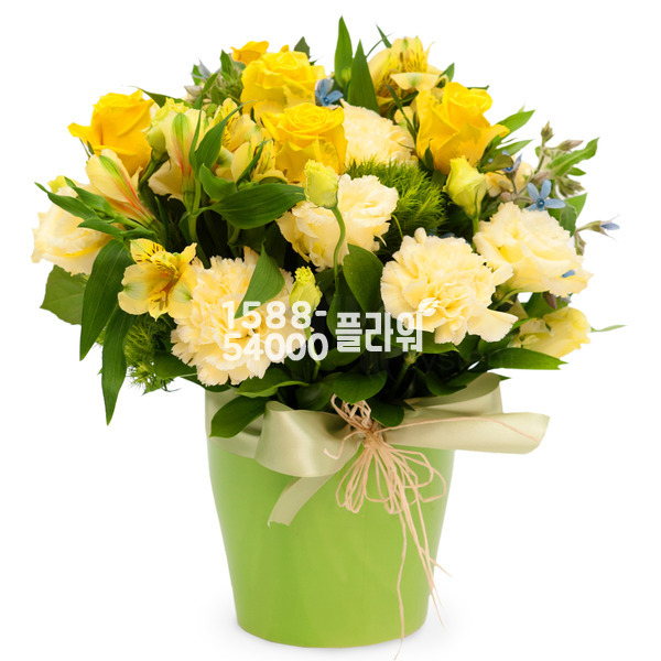 화병디자인_노랑