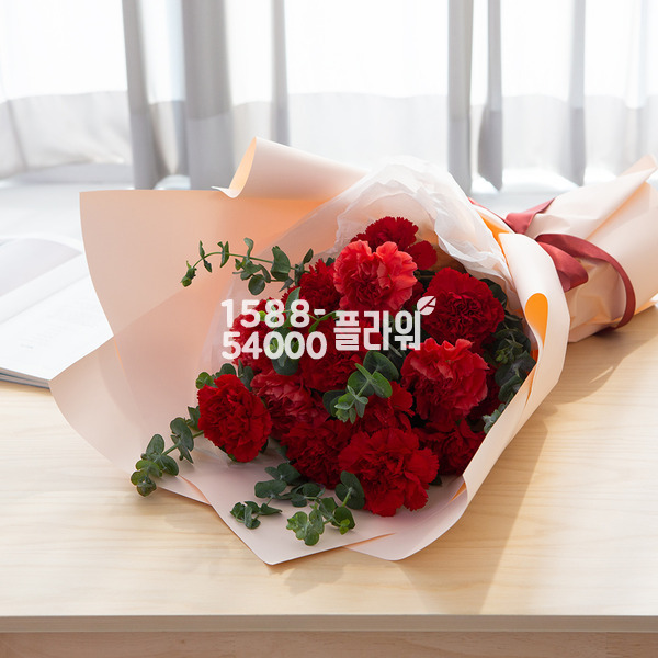 사랑에빠진카네이션