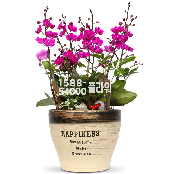 실내인테리어♠만천홍