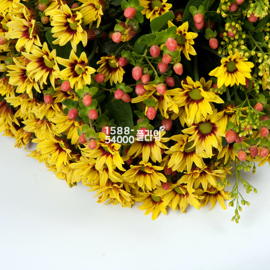 상세이미지