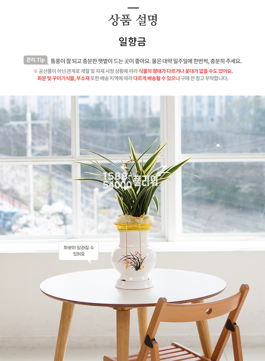 상세이미지