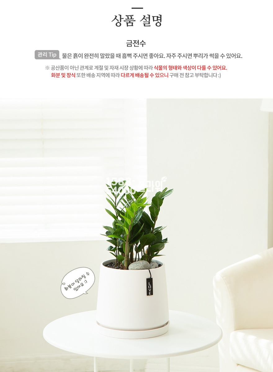 상세이미지