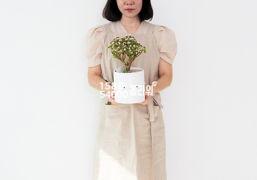 상세이미지