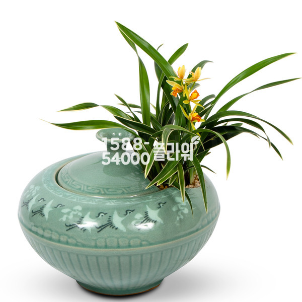 청자분대국♠품격의 선물